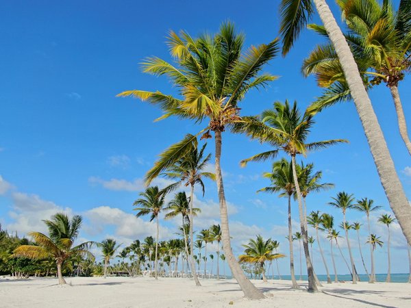 Découvrez les meilleures applications pour trouver des visites guidées abordables