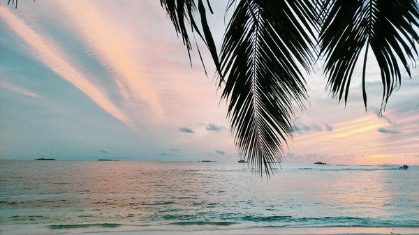 Explorez des vacances inattendues en louant des roulottes uniques et originales