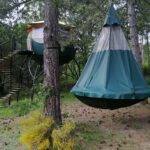 camping-nature-04-mousserein-pendola-3